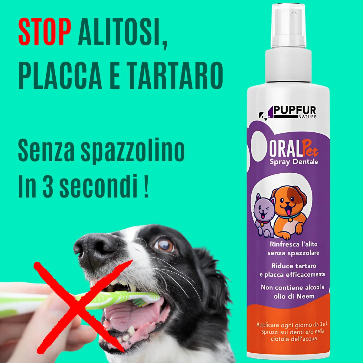 Spray Dentale Bellatii™