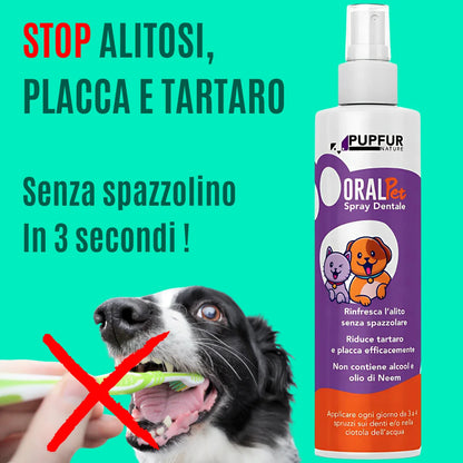 Spray Dentale Bellatii™