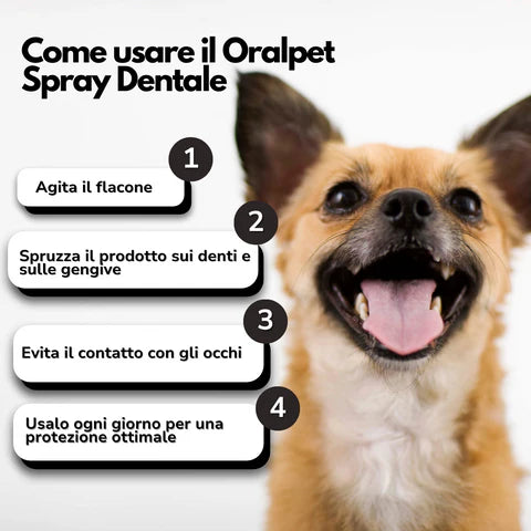 Spray Dentale Bellatii™