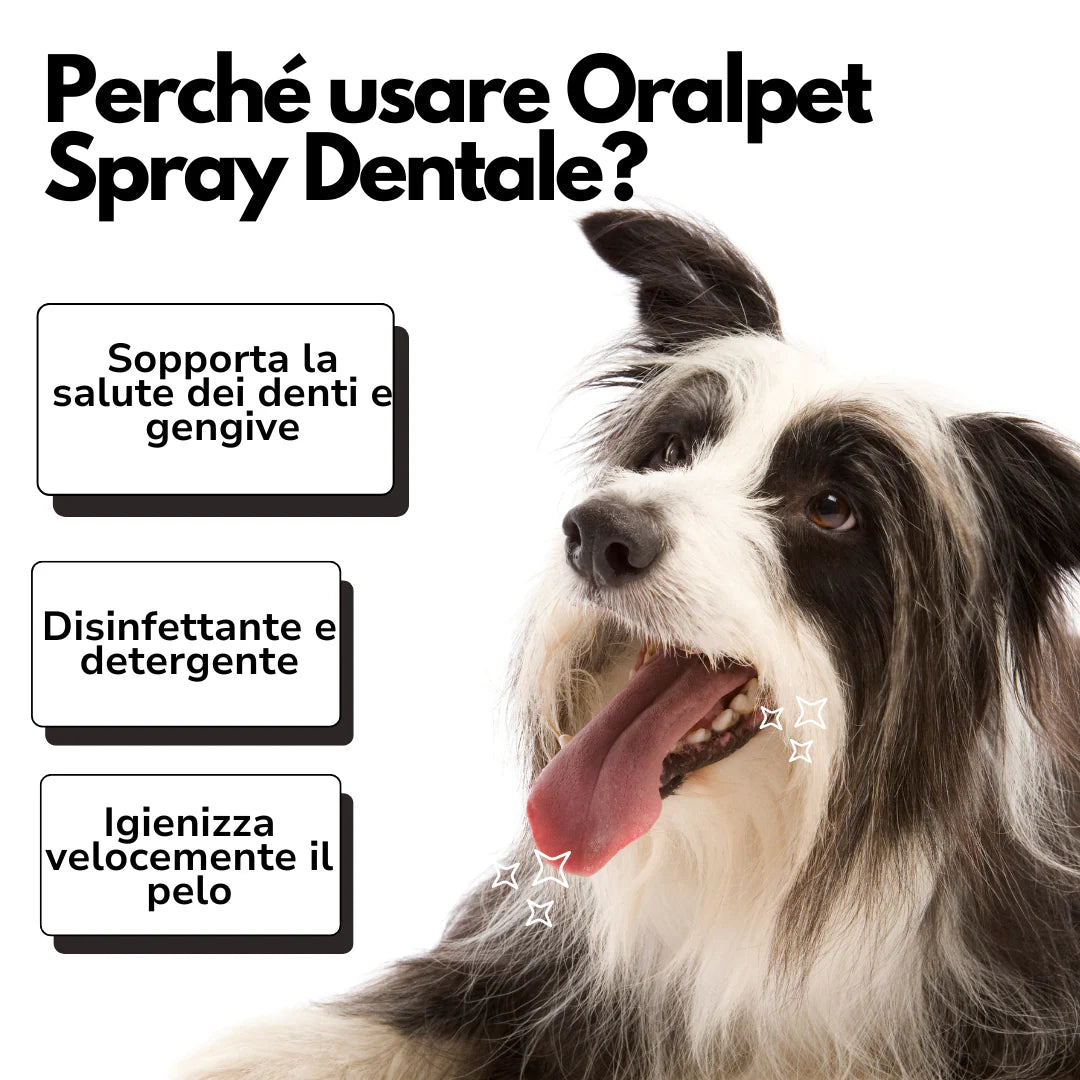 Spray Dentale Bellatii™