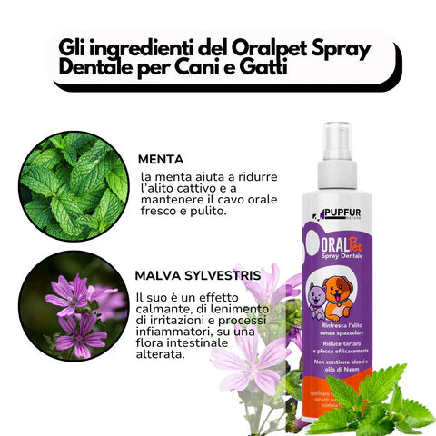 Spray Dentale Bellatii™
