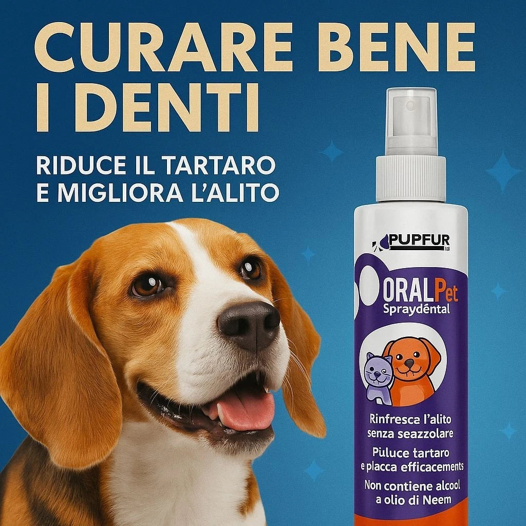Spray Dentale Bellatii™