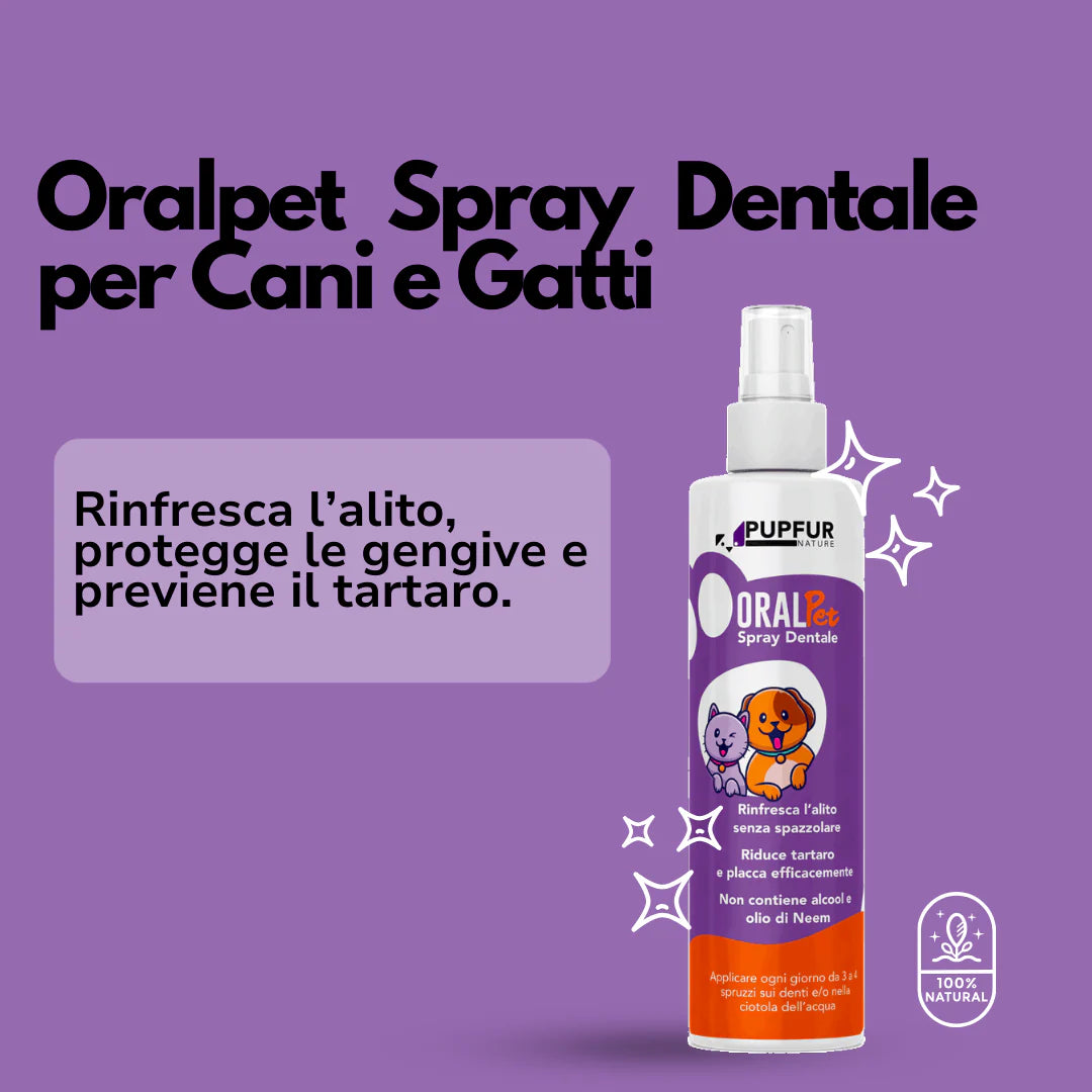 Spray Dentale Bellatii™