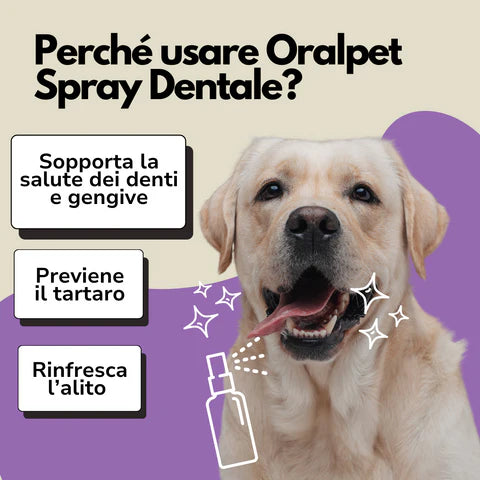 Spray Dentale Bellatii™